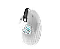 Delux Mysz Pionowa M618XSD BT+2.4G RGB (biała) M618XSD (White) - 1078521 - zdjęcie 1